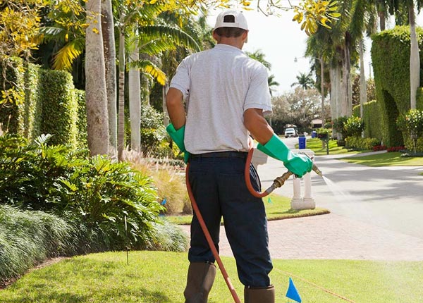 About Palo Cedro CA Pest Control